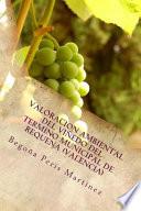 Valoracion ambiental del viedo del termino municipal de Requena, Valencia / The Vineyard Environmental Assessment of municipality of Requena, Valencia