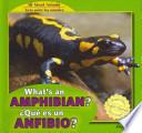 What's an Amphibian? / Que Es Un Anfibio?