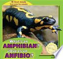 Whats an Amphibian? / ¿Qué es un anfibio?