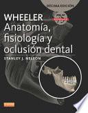 Wheeler. Anatomía, fisiología y oclusión dental