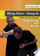 Wing Chun - The Brutality of Biu Jee - HSE