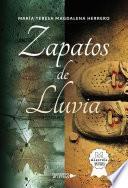 Zapatos de lluvia